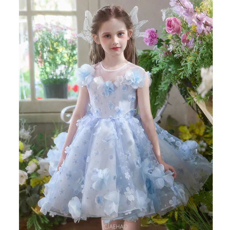 Princess Birthday Party Pageant Dress